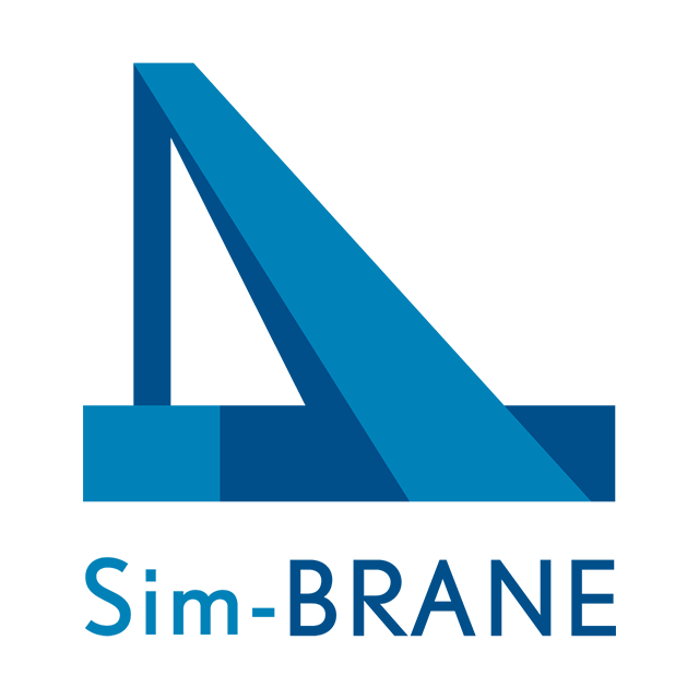 Sim-BRANE